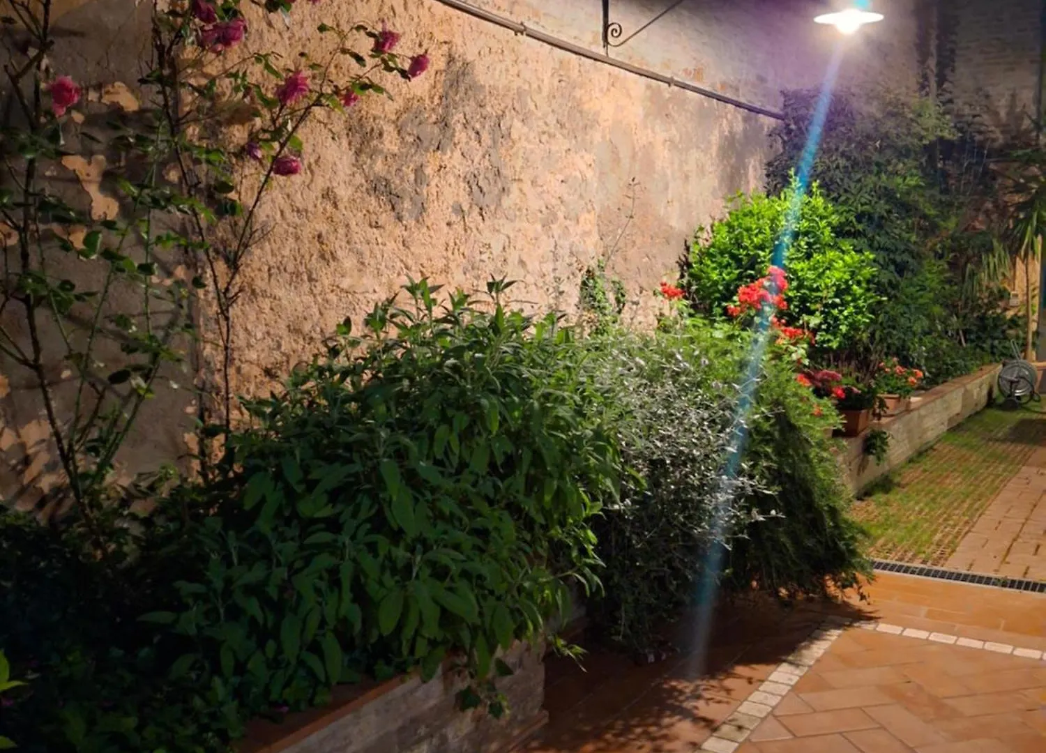 Casa Agostino Codazzi Dimora Storica Lugo  Apartment
